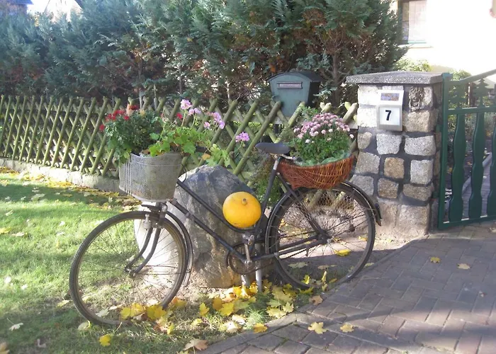 Pension Zum Weissen Hirsch