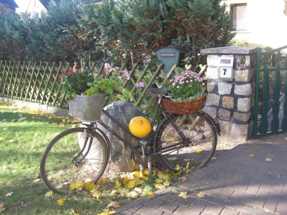 Zum Weissen Hirsch Apartment Reitwein