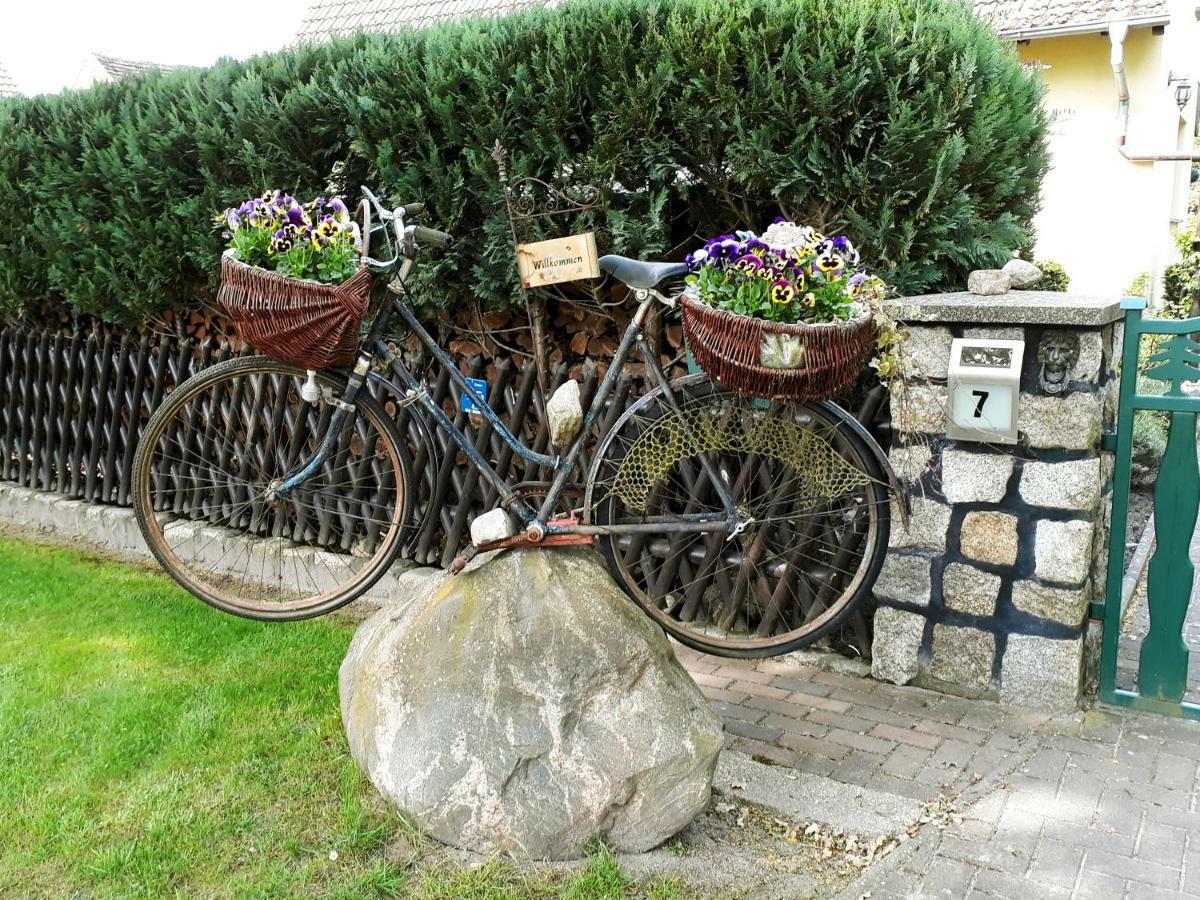 Zum Weissen Hirsch Apartment Reitwein